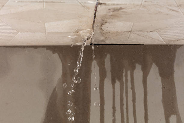 Professional Sewage Cleanup technician working in Wayne, NE